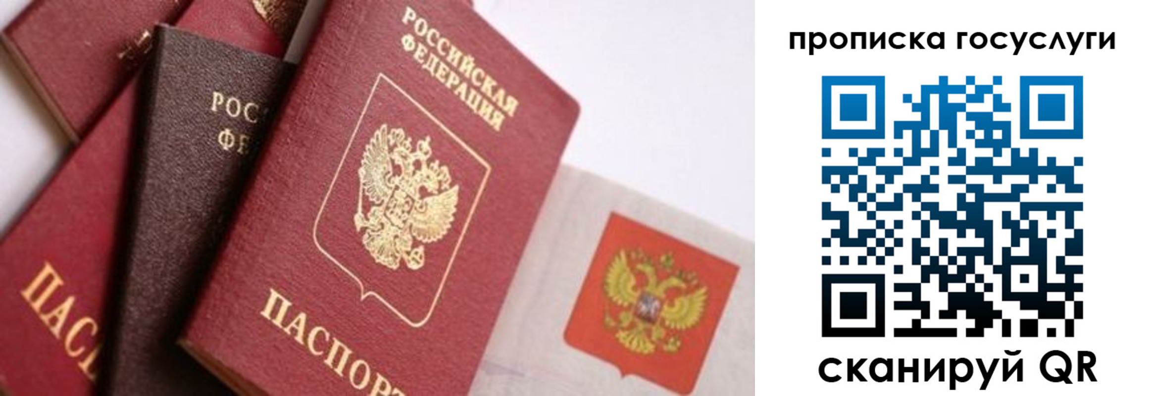 прописка законно в Сергаче